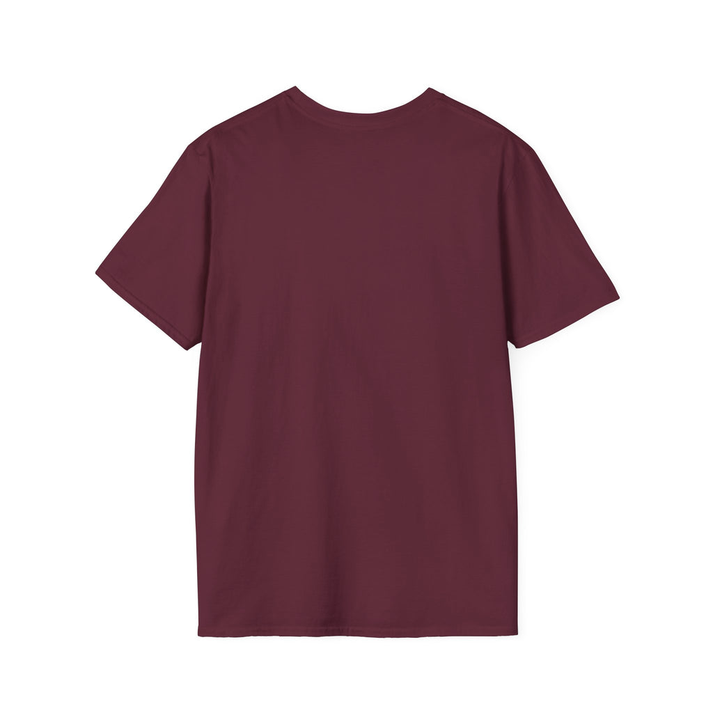 Cat playing pickleball T shirt